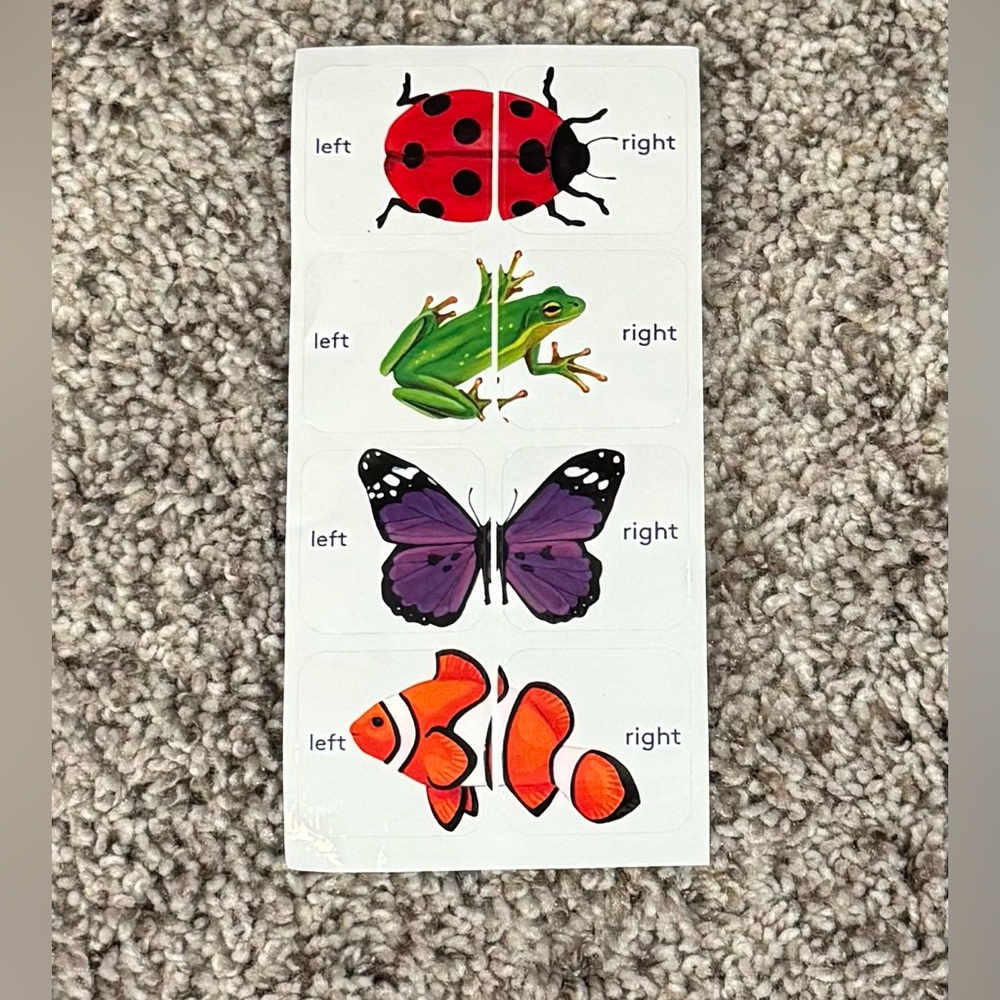 Lovevery Left/Right Shoe Stickers